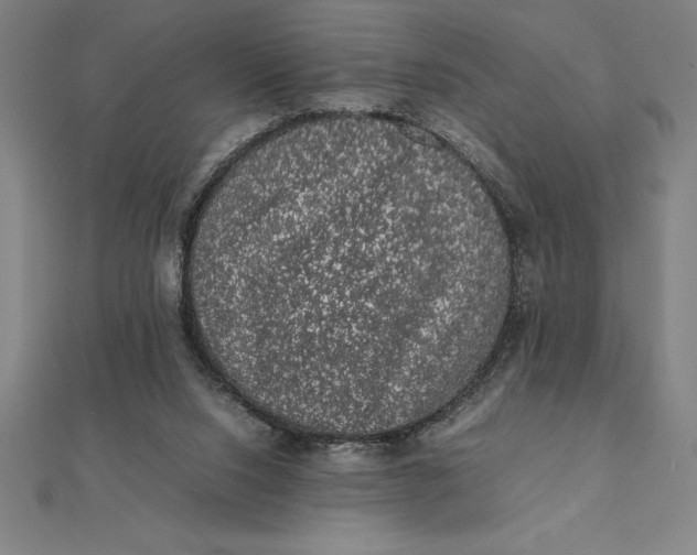 X0000112110064200908251220