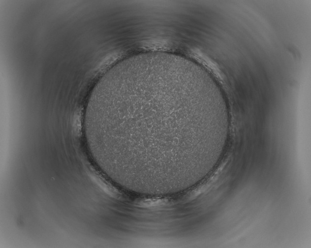 X0000112110065200908251220