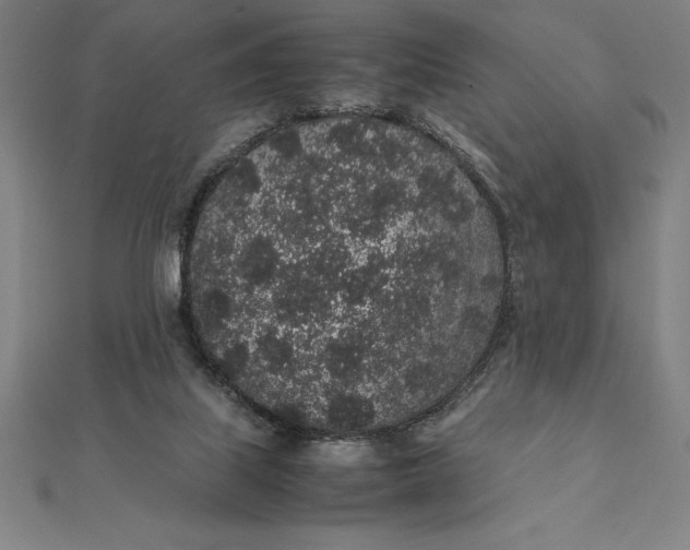 X0000112110067200908251220