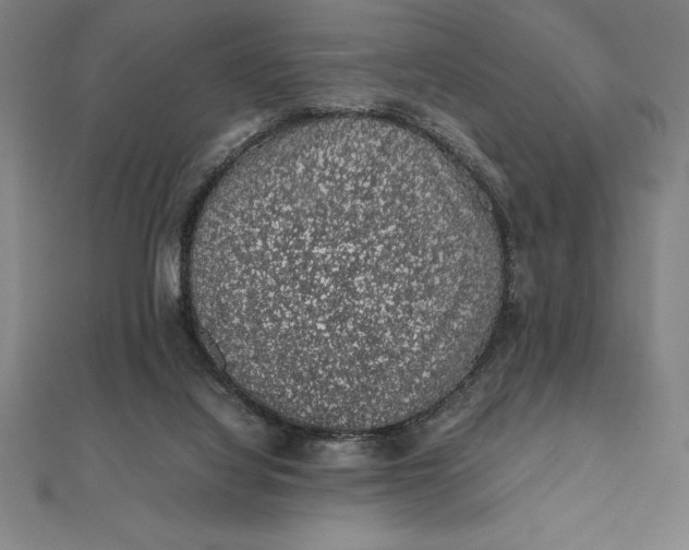 X0000112110068200908251220