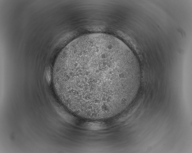 X0000112110069200908251220