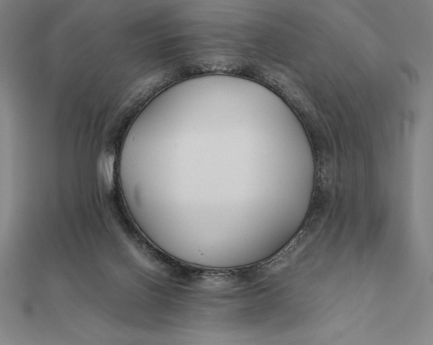 X0000112110070200908251220