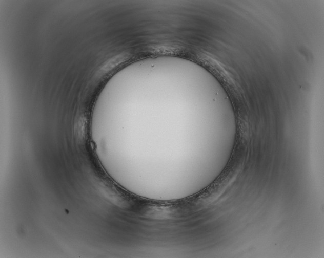 X0000112110071200908251220