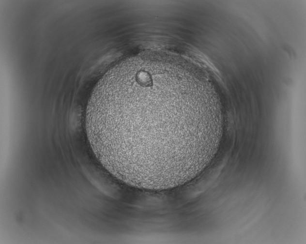 X0000112110073200908251220