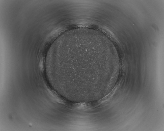 X0000112110074200908251220