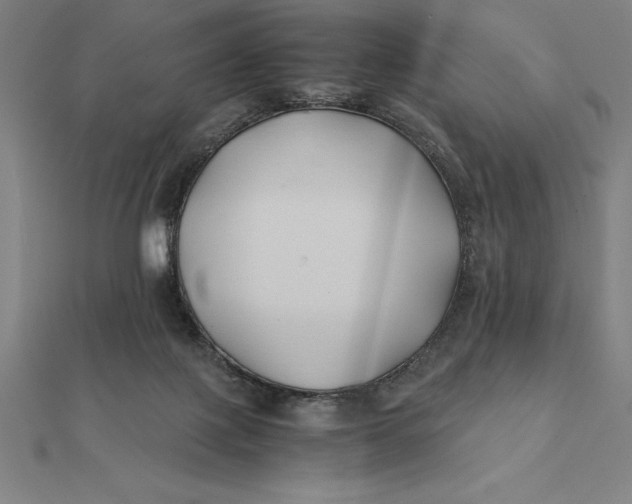 X0000112110075200908251220