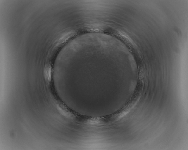 X0000112110076200908251220