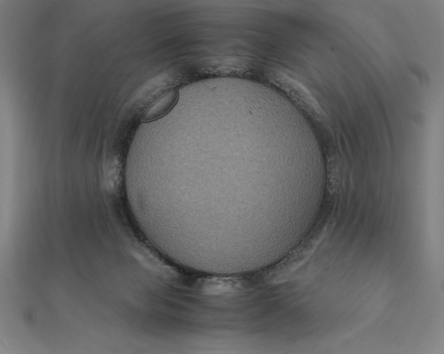 X0000112110077200908251220