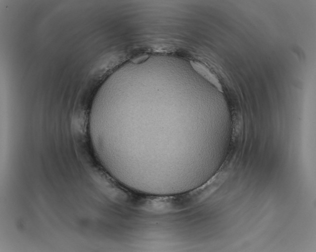 X0000112110078200908251220