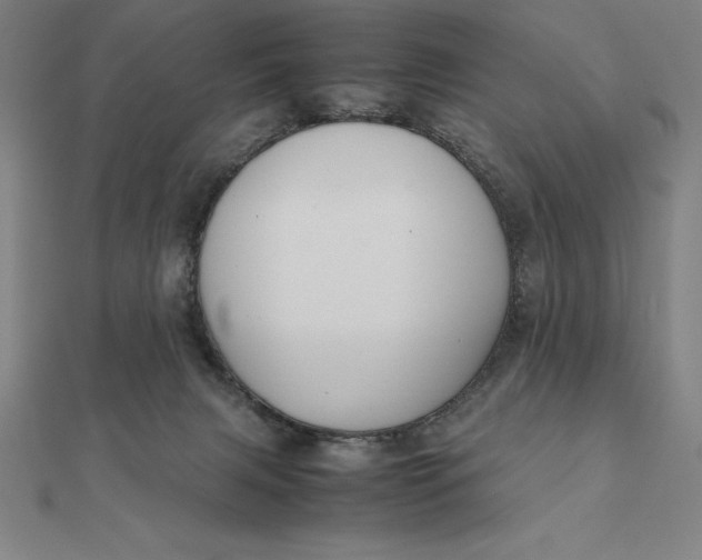 X0000112110079200908251220