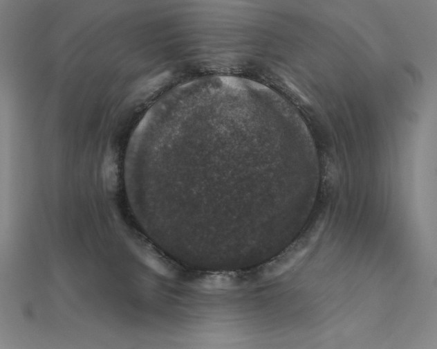 X0000112110080200908251220