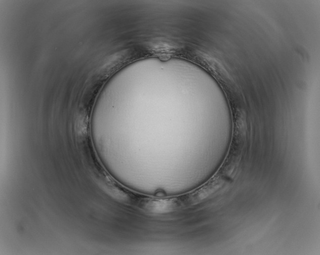 X0000112110081200908251220