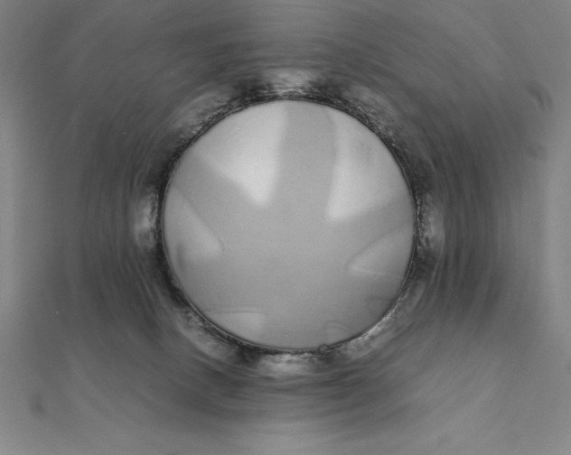 X0000112110082200908251220