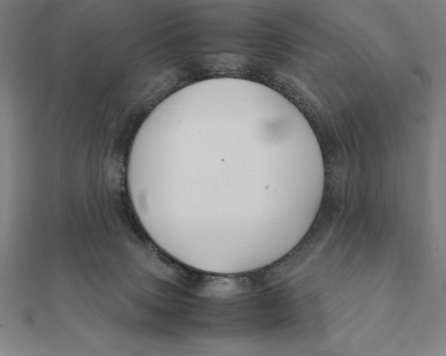 X0000112110083200908251220