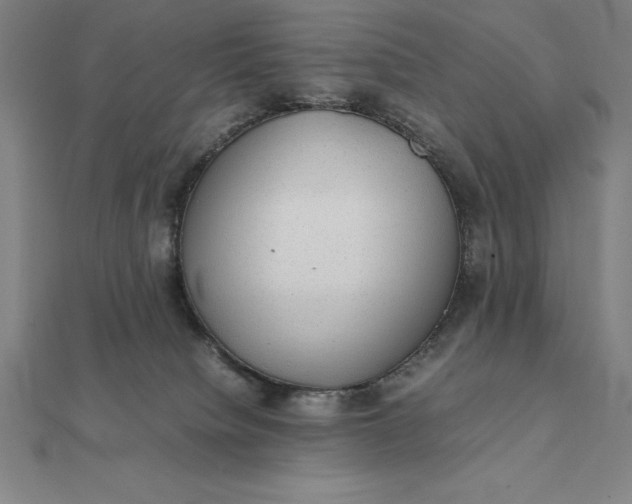 X0000112110084200908251220