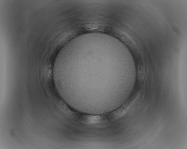 X0000112110085200908251220