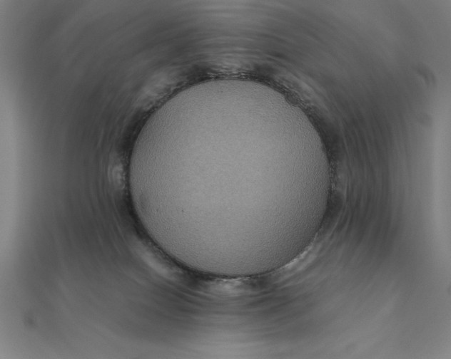 X0000112110086200908251220