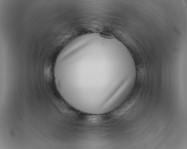 X0000112110088200908251221