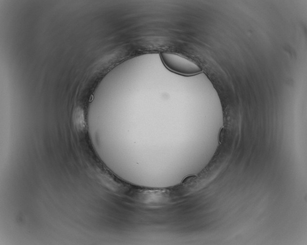 X0000112110089200908251221