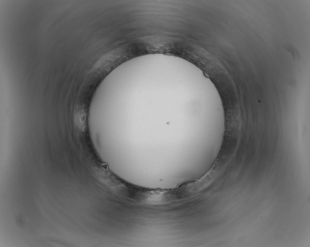 X0000112110090200908251221