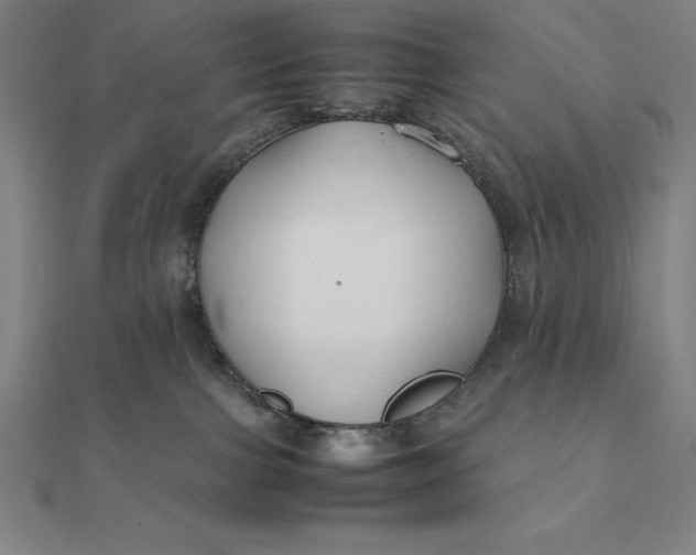 X0000112110091200908251221