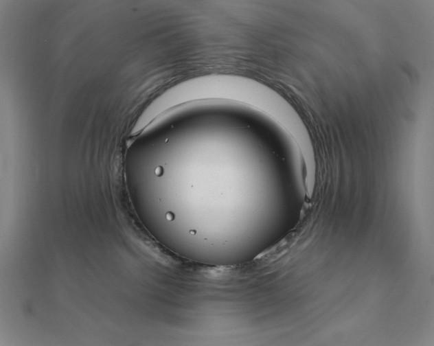 X0000112110092200908251221