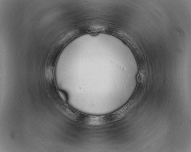 X0000112110093200908251221