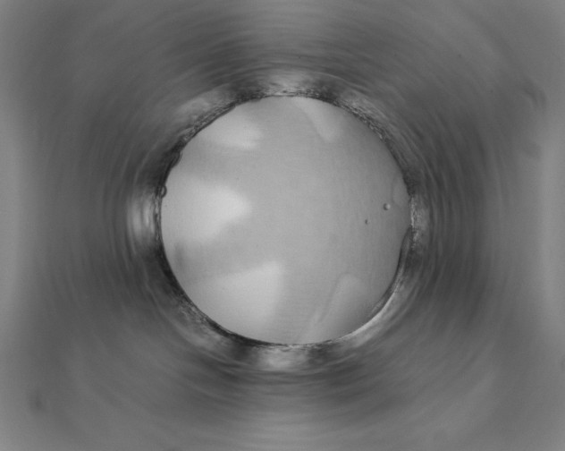 X0000112110094200908251221