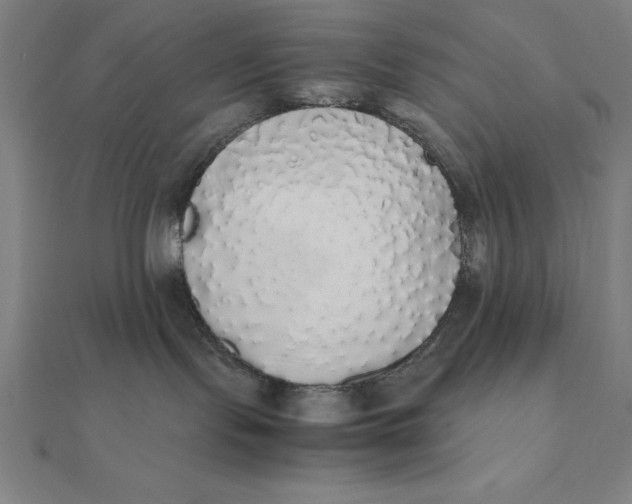 X0000112110095200908251221