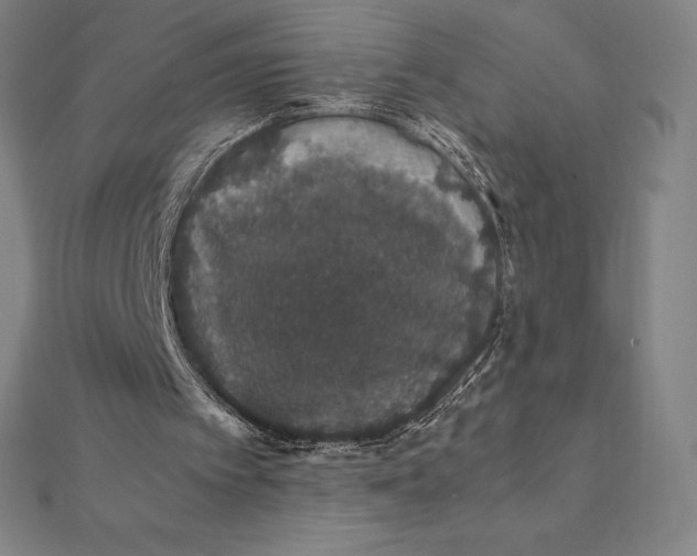 X0000112110097200908251220