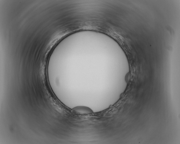 X0000112110098200908251220