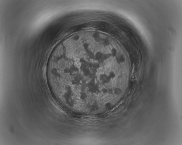 X0000112110099200908251220