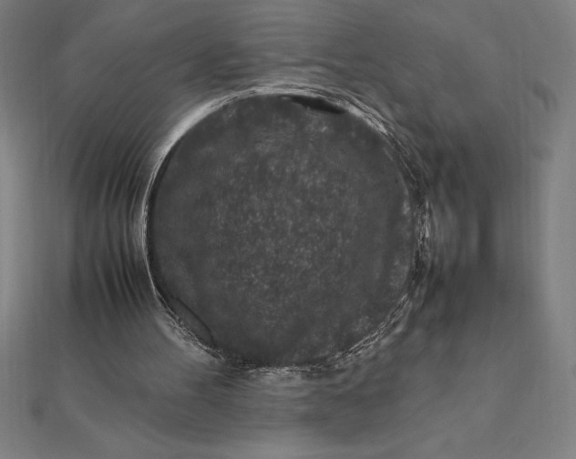 X0000112110100200908251220