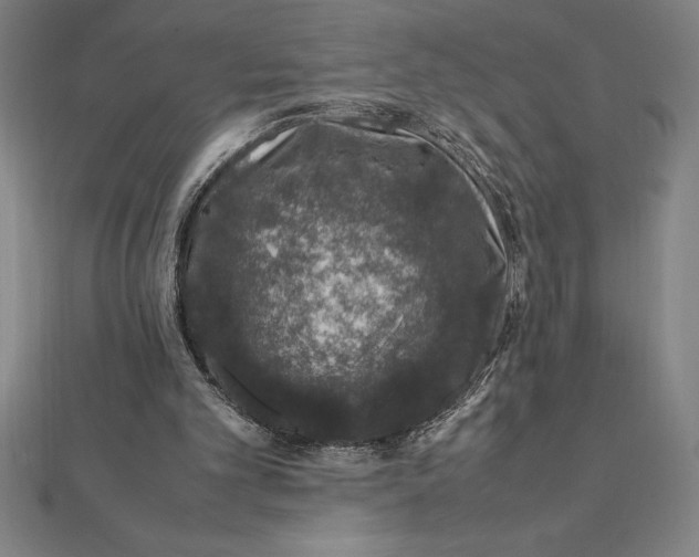 X0000112110101200908251220