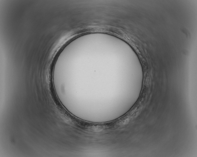 X0000112110103200908251220