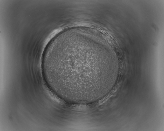 X0000112110104200908251220