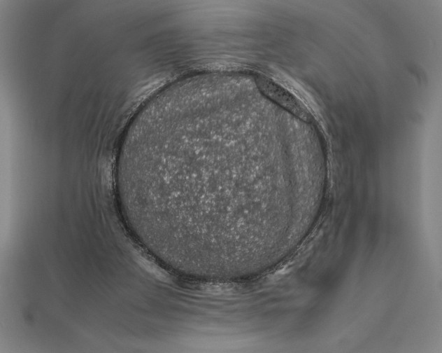 X0000112110105200908251220