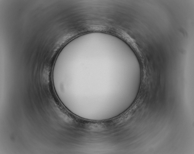 X0000112110106200908251220