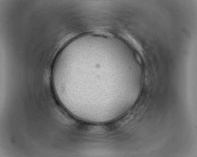 X0000112110107200908251220