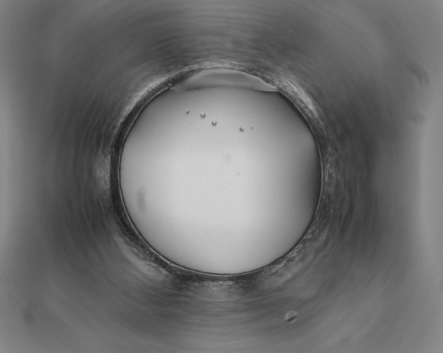 X0000112110108200908251220