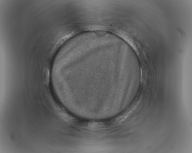 X0000112110109200908251220