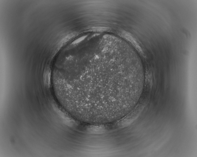 X0000112110110200908251220