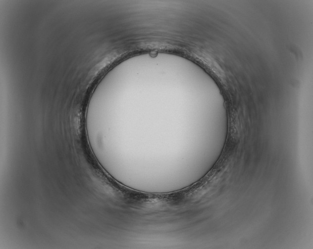 X0000112110111200908251220