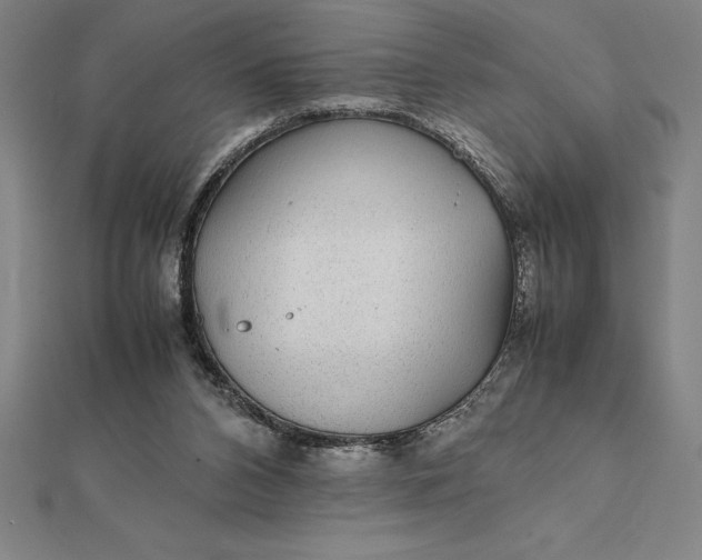 X0000112110112200908251220