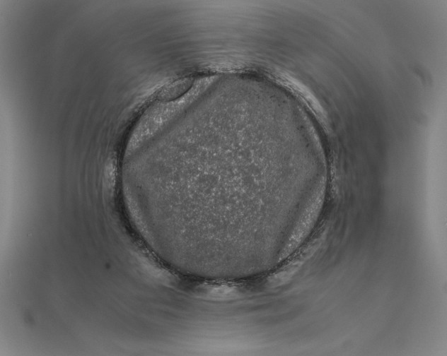 X0000112110113200908251220