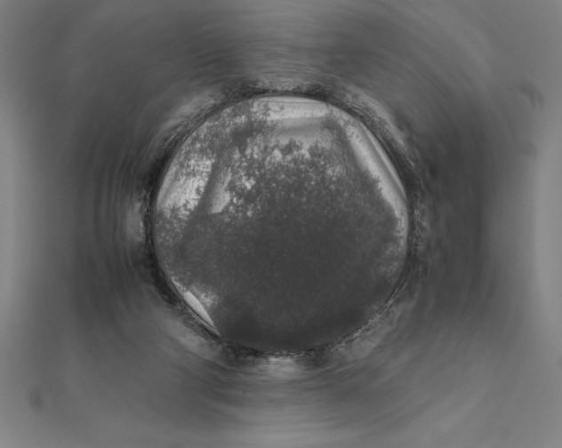 X0000112110114200908251220