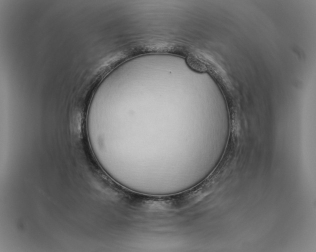 X0000112110115200908251220