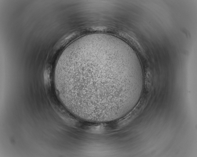 X0000112110116200908251220