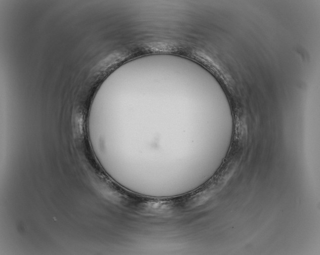 X0000112110117200908251220