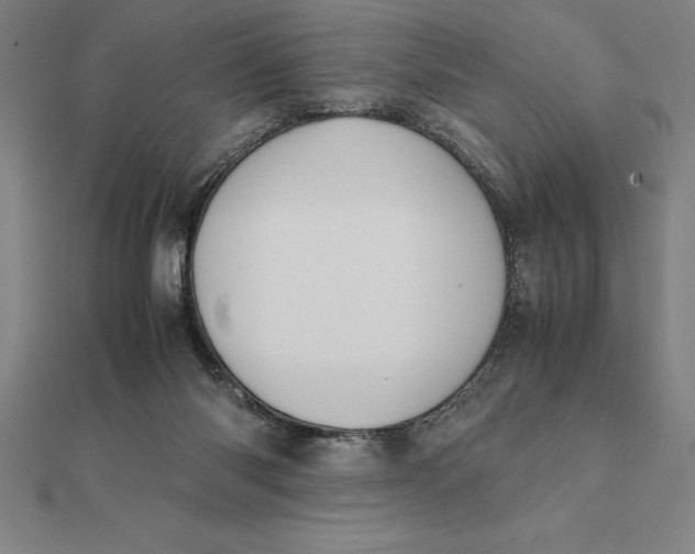 X0000112110118200908251220